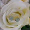 Boucles d'oreille - Collection "Lumina"