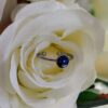 Bague - Collection "Éclat"