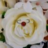 Bague - Collection "Éclat"