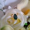Bague - Collection "Étincelle"